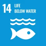 SDGs of Aquaculture Conference 2026