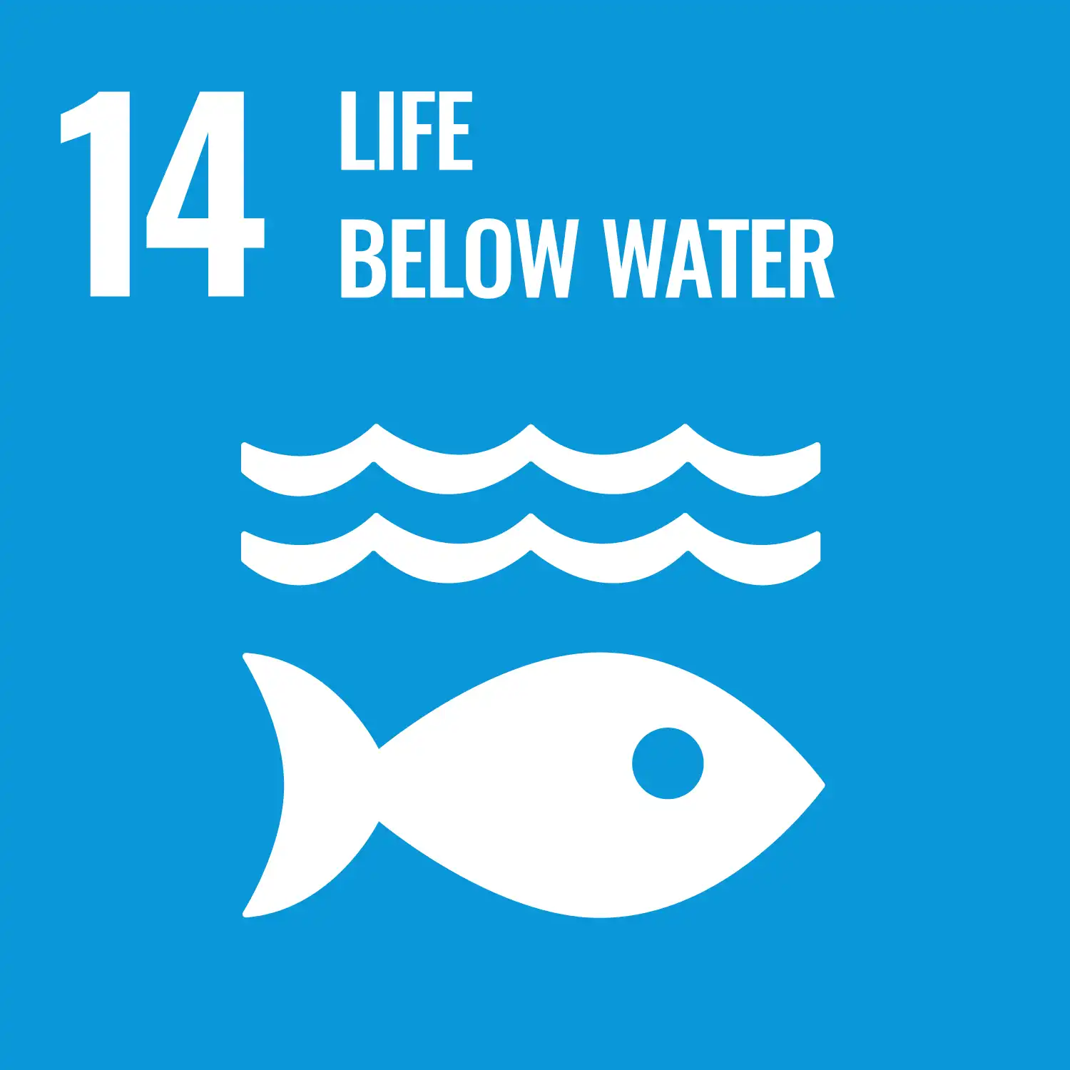 SDGs of Aquaculture Conference 2026