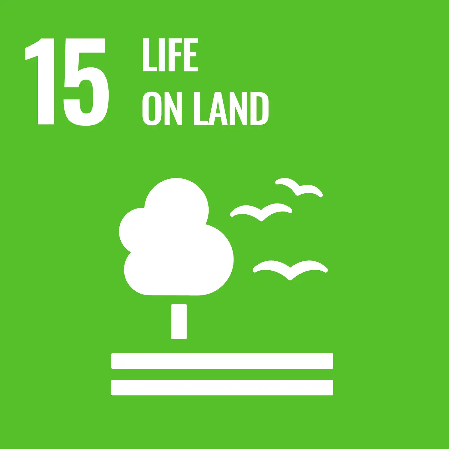SDGs of Aquaculture Conference 2026